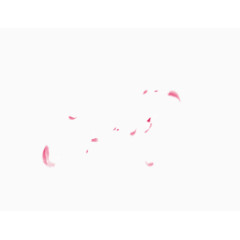 妇女节装饰花瓣