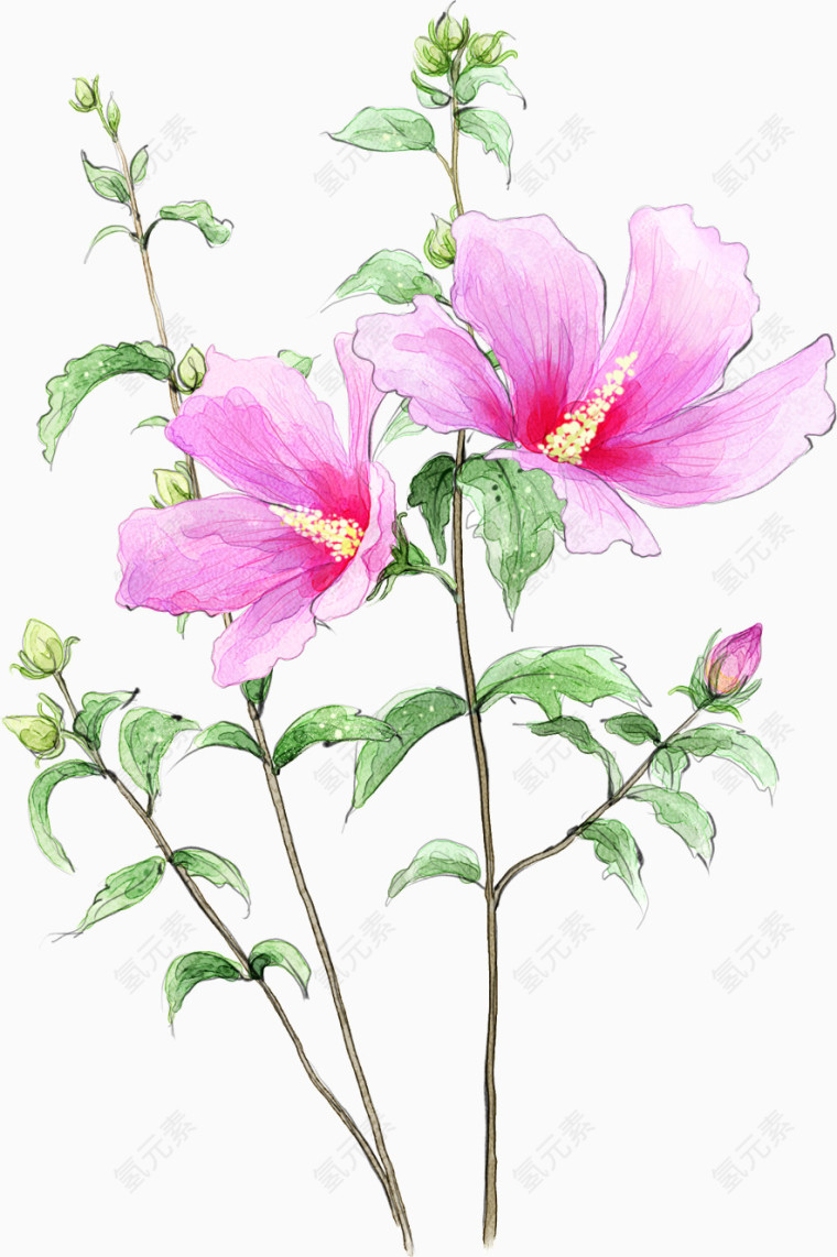 红色手绘花朵