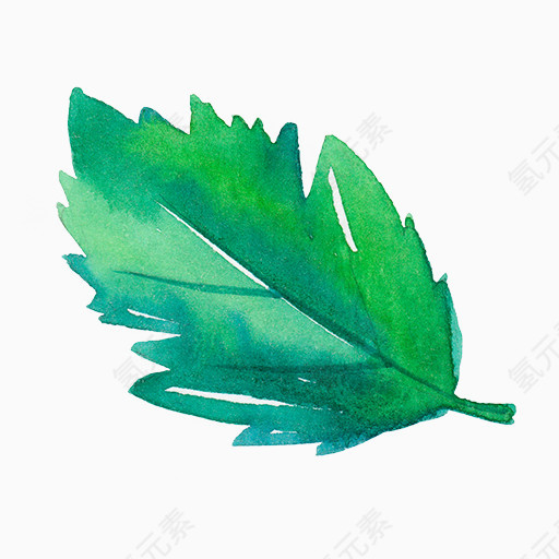 卡通手绘五彩树叶