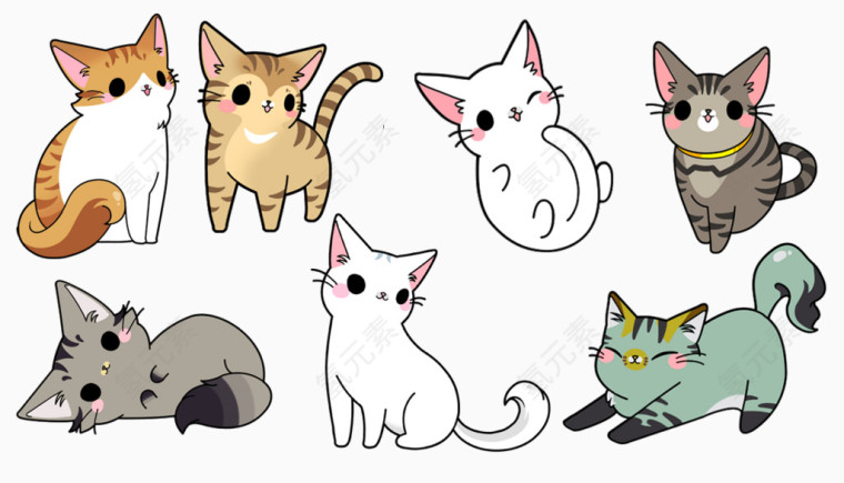 猫咪