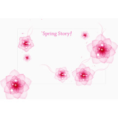 晶莹的粉色花朵