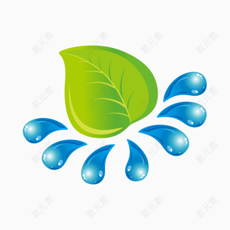叶子水滴