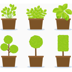 充满生机的盆栽