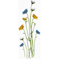 线描花卉花卉矢量图素材