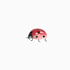 昆虫素材思想