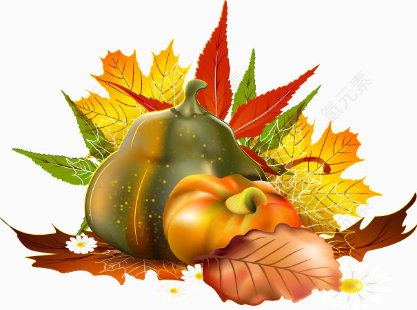 卡通秋天收获树叶果实