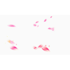 粉色花瓣漂浮