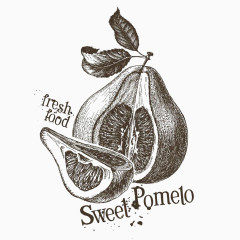 手绘柚子
