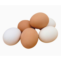 食物鸡蛋蛋白质