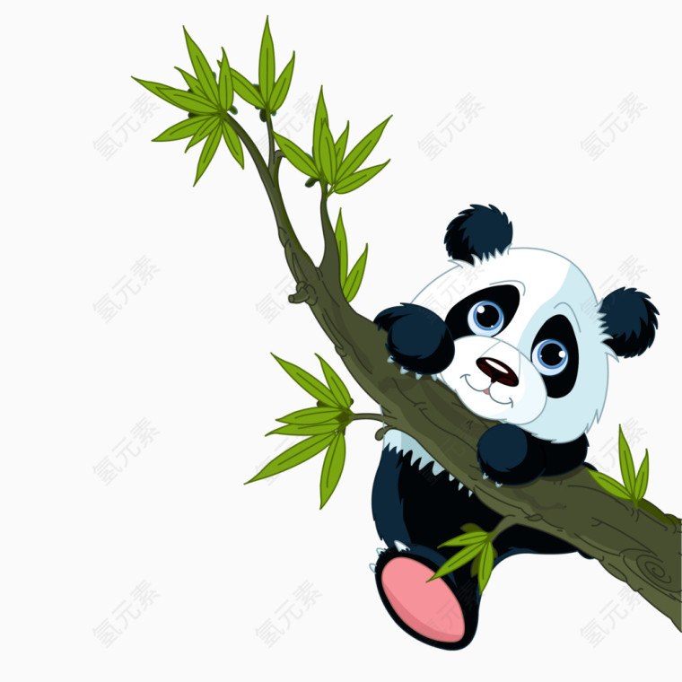 抱着竹子的大熊猫