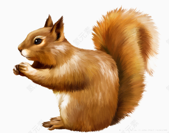 卡通松鼠