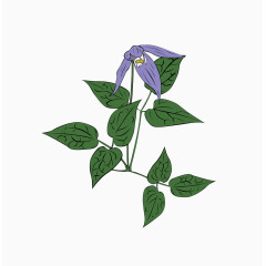 卡通手绘绿色植物