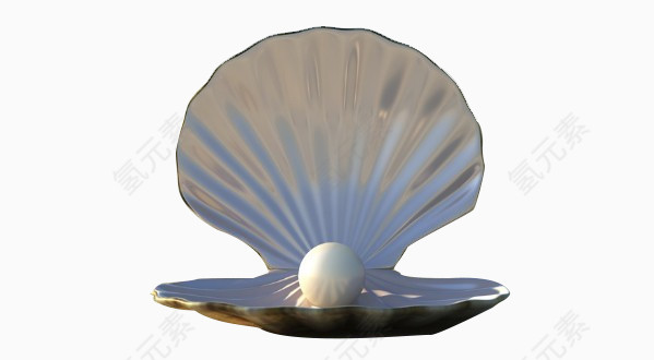 海底珍珠