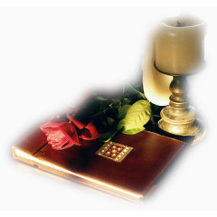 植物花卉素材花草图案