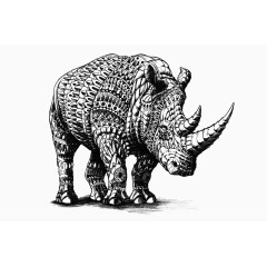 黑白动物装饰画