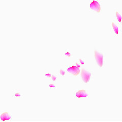 紫色漂浮花瓣