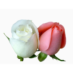 卡通装饰素材手绘装饰素材