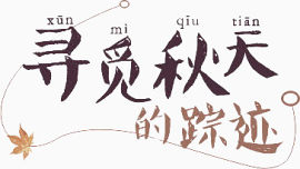 寻觅