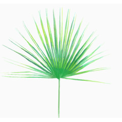 卡通热带绿色叶子