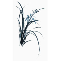 手绘兰草