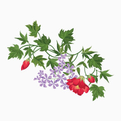 水彩花
