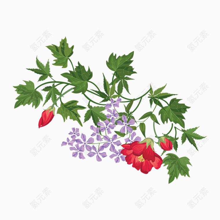 水彩花