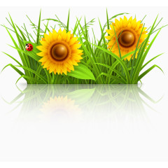 卡通清新春天向日葵草丛