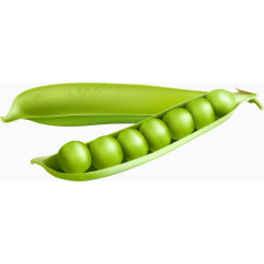 豌豆荚