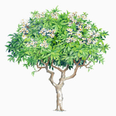 树木背景图片素材树木元素