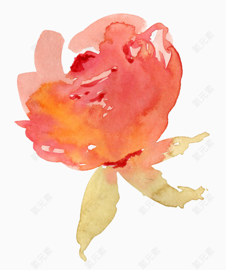 植物水彩画