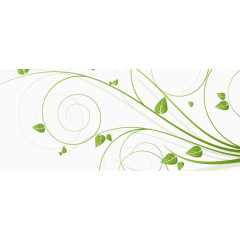 春天清新藤蔓枝条树叶