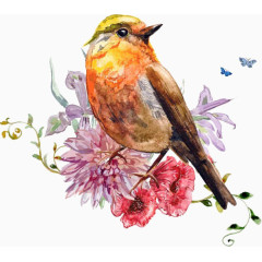 手绘小鸟与花朵