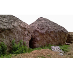 金黄色麦田风景六