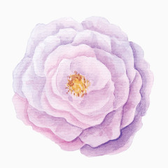 卡通精美五彩花卉