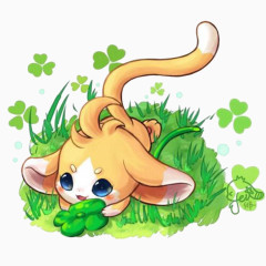 与四叶草玩耍的小猫