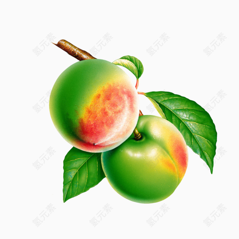 青色桃子