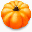 南瓜出没的酒店