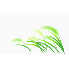 卡通清新春天羽毛