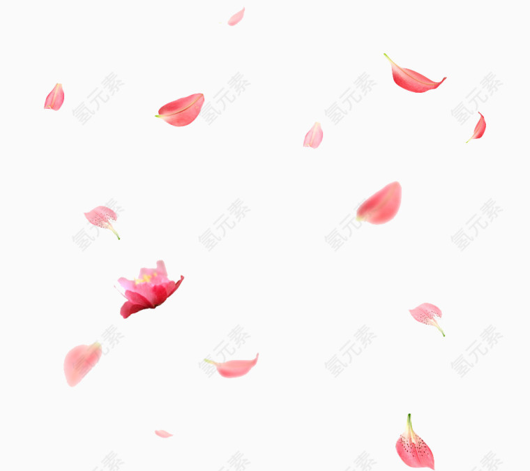 花漂浮元素