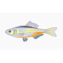 卡通热带鱼彩色小鱼