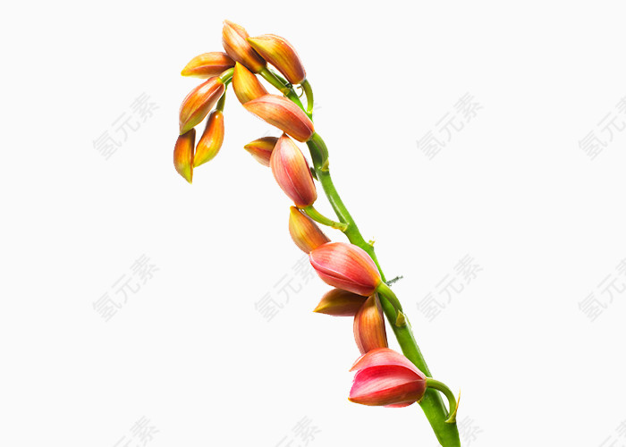 油画风格鲜花