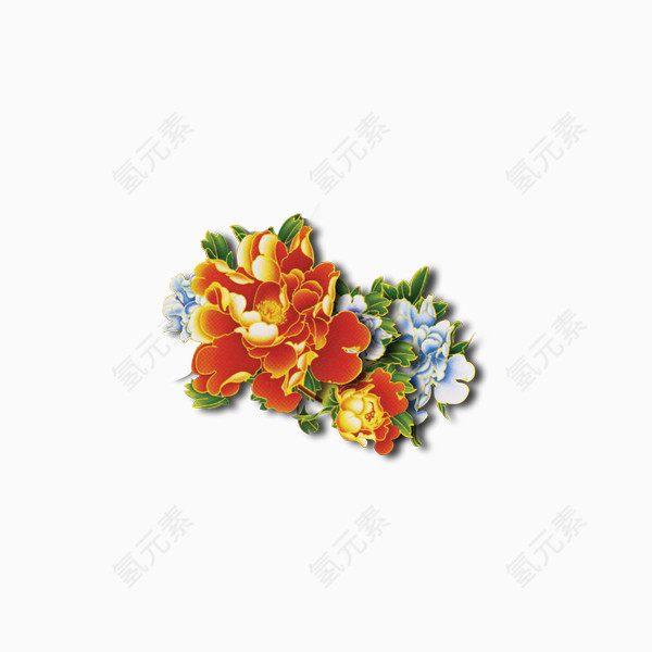 金边牡丹花