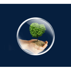 春天希望之树精美气泡