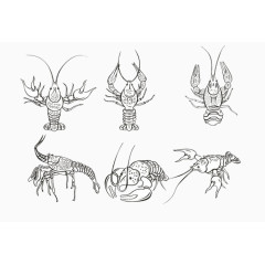 龙虾姿势简笔画