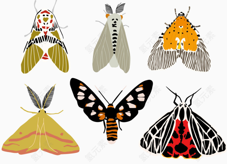 矢量图斑点蝴蝶