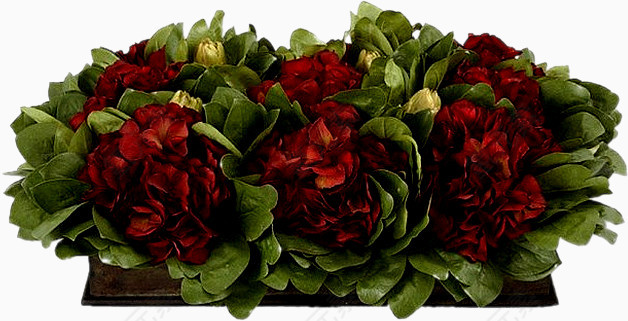 装饰卡通绿植花草