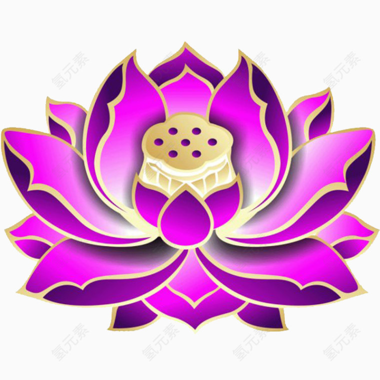莲花