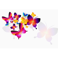 炫彩蝴蝶