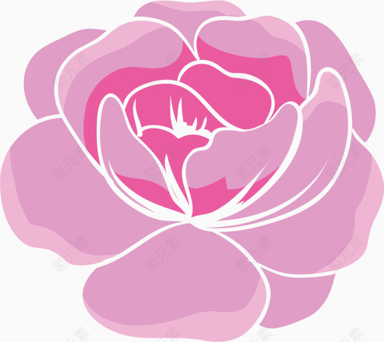 蔷薇花瓣