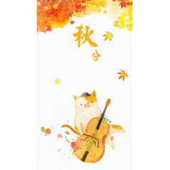 秋分弹吉他的猫咪 